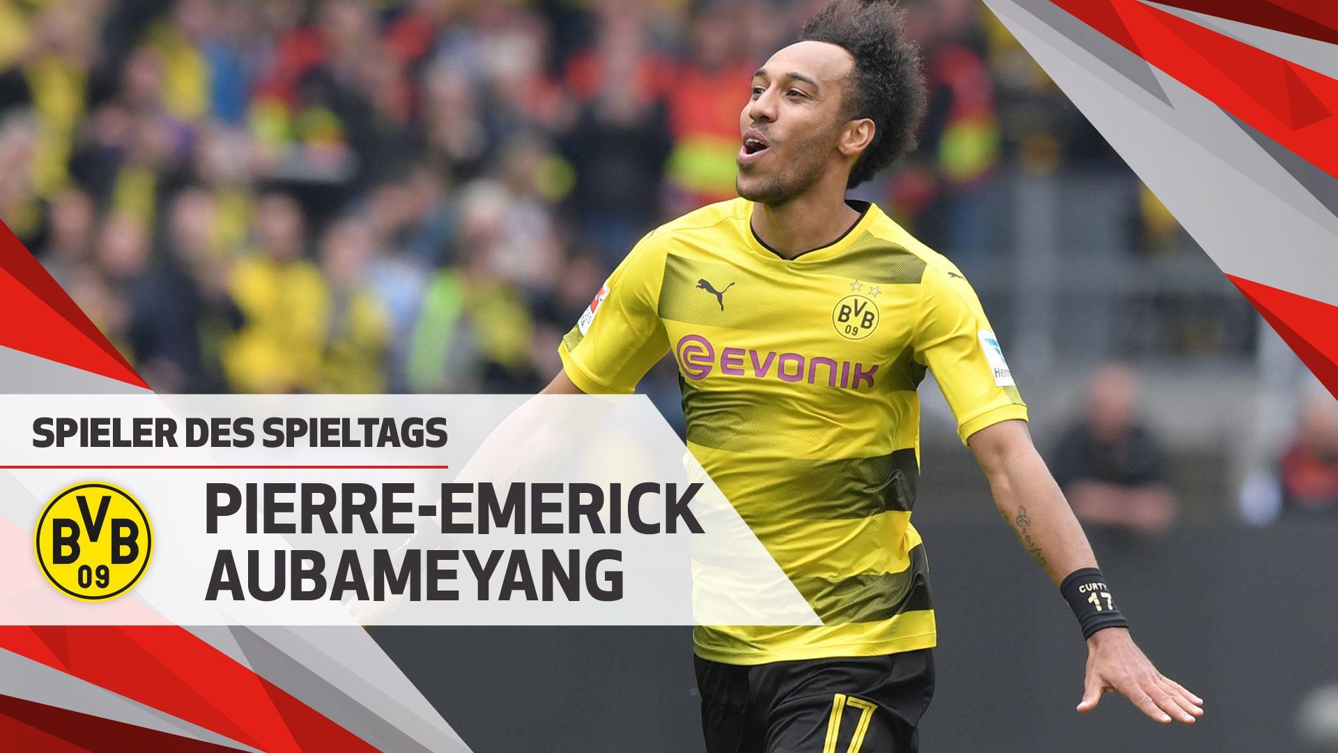 创新食谱绘美味健康画卷，圣禾载誉而归续写学生餐暖心新篇章